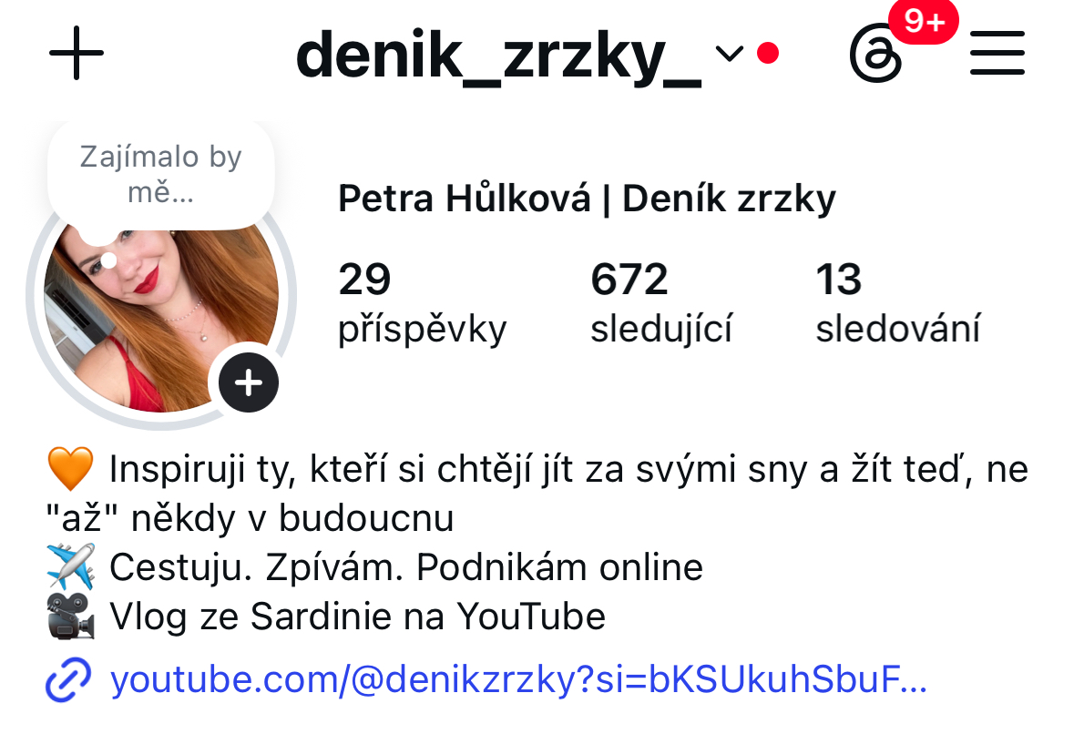 Deník zrzky – náhled profilu